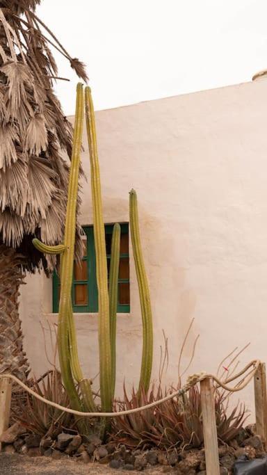 Casa Munique Villa Teguise  Buitenkant foto