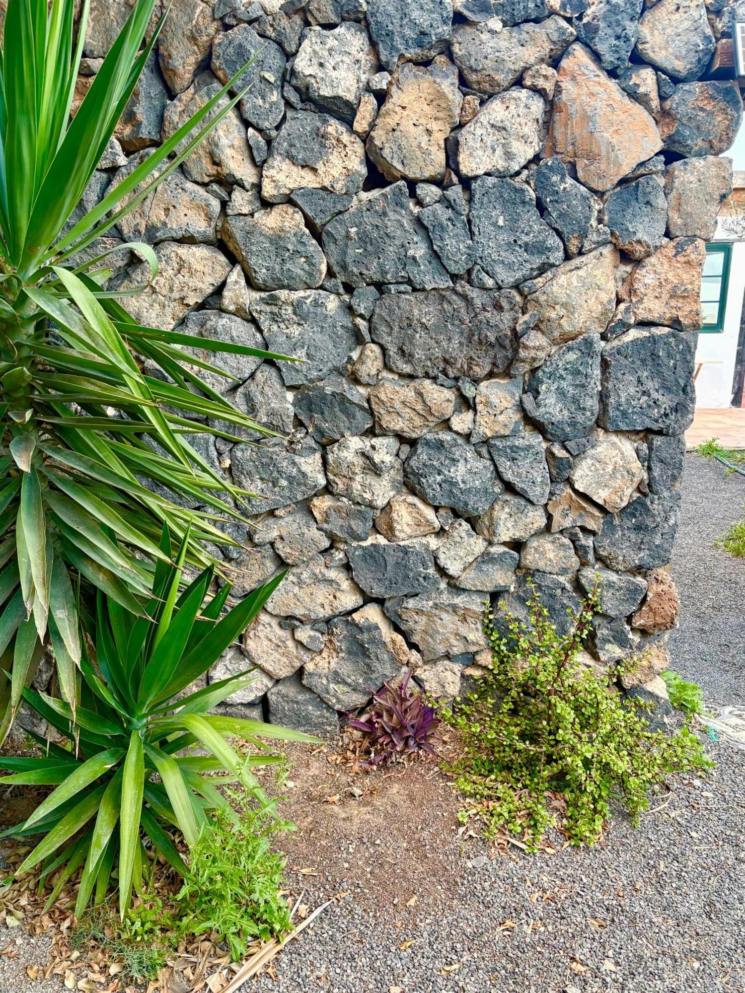 Casa Munique Villa Teguise  Buitenkant foto